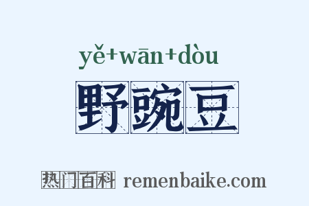 野豌豆是什么意思的图片